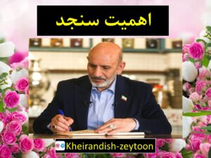 سنجد برای گوشت مفید است