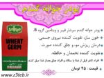پودر جوانه گندم